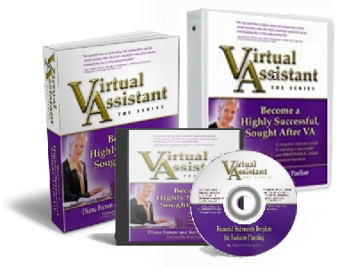 Virtual Assistant - The Series
